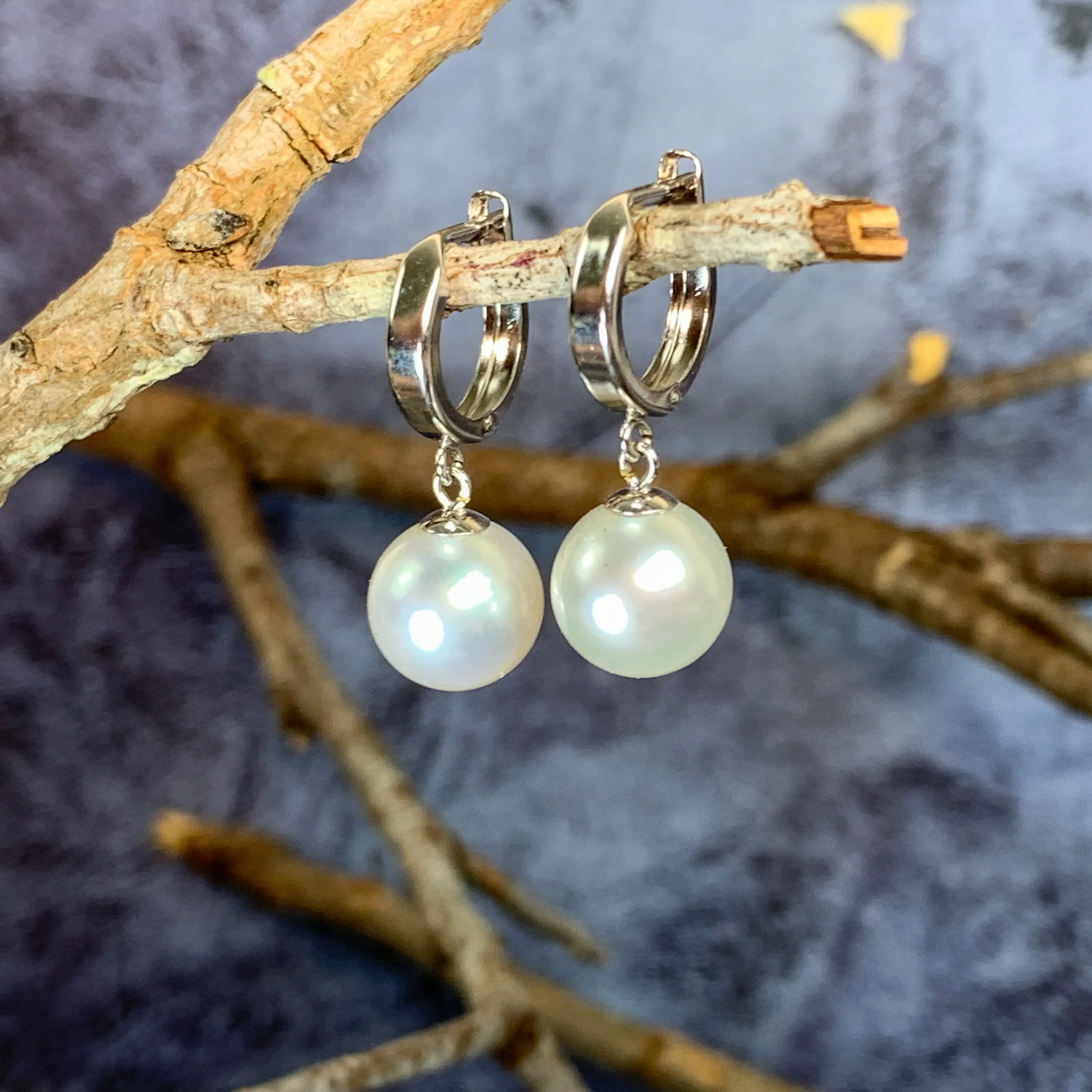 14kt White Gold dangling huggie South Sea Pearls 9.5-10mm