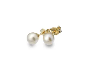 9ct Yellow Gold 5mm Freshwater Pearl Stud Earrings